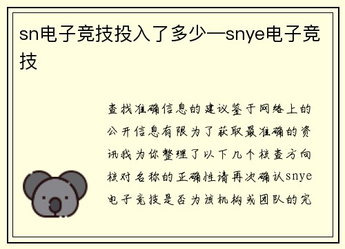 sn电子竞技投入了多少—snye电子竞技